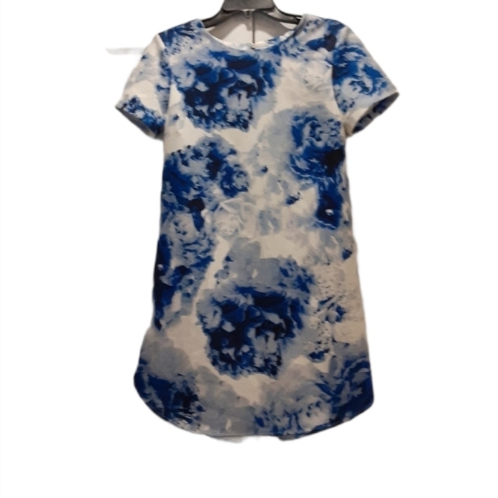 WYLDR Floral Blue and White Dress Size S